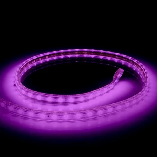 Ruban LED violet 220V AC