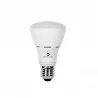 Ampoule  LED E27 8W R-63   220V 120º R-LINE